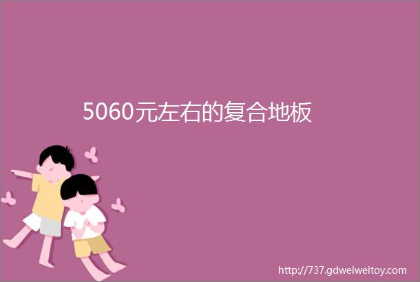 5060元左右的复合地板