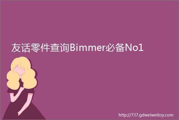 友话零件查询Bimmer必备No1